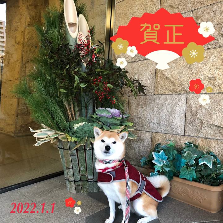 2fc682b5 0df4 4114 b914 ff273b9aa4b2 1640996878100