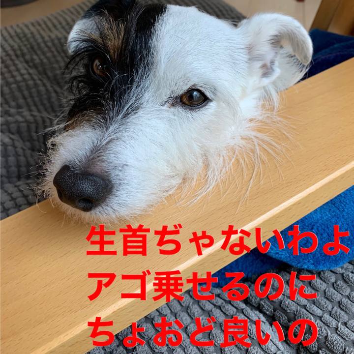 2fc69fca 70b8 4d8b a72c 2d9f0ca74c48 1576550461308