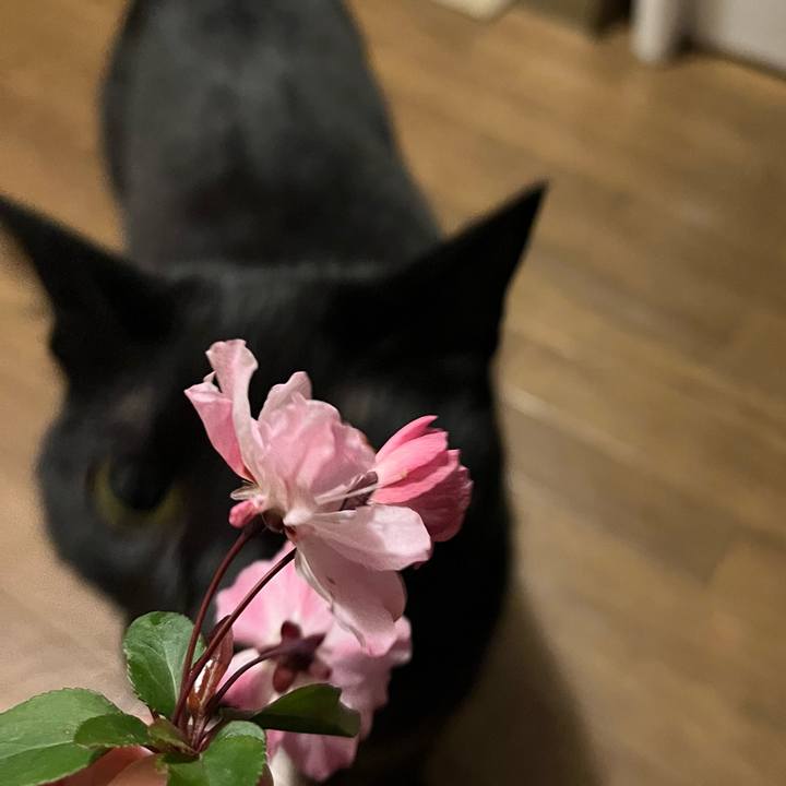 2fc6abcd abcb 4caf 895e 9df4ca5f2360 1712103605009