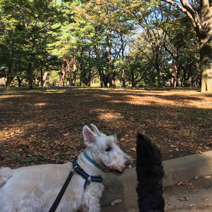 2fc6dc6e 1392 40a9 93f6 7f6c5f3e4a17 1603179040642