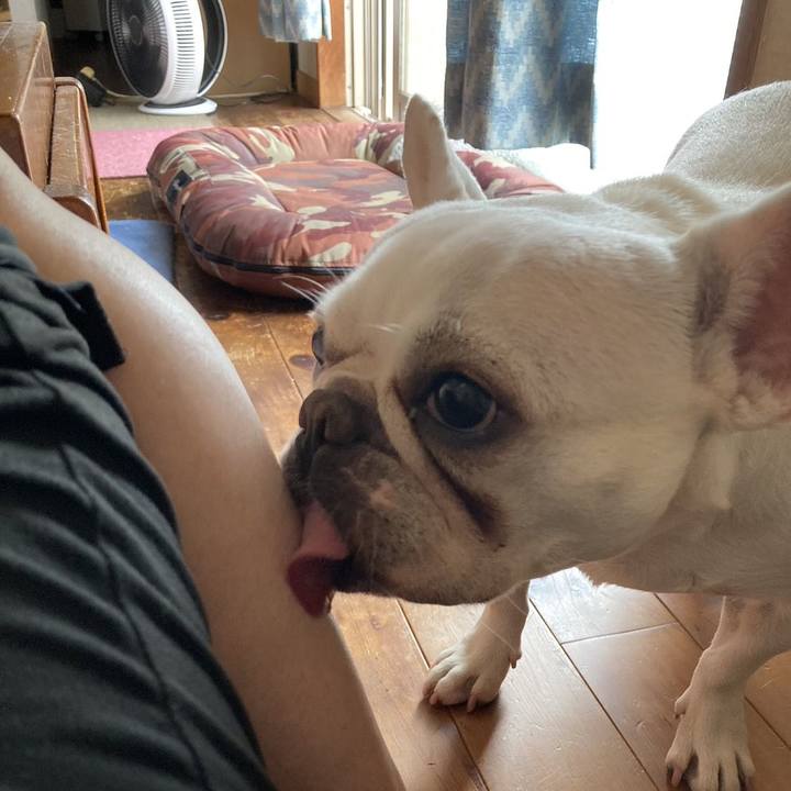 2fc6de39 ab77 4a1c 9bc7 091ce66d22f1 1688533893842