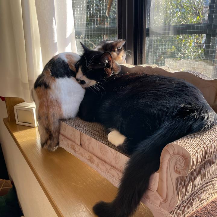 2fc73166 45c0 459d befb 891beca6f5b1 1672960713512