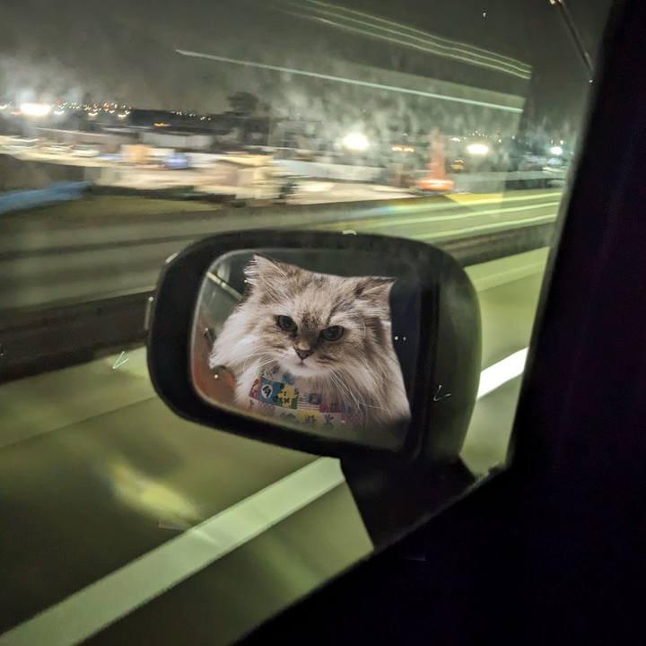 2fc735d1 a7d4 44d2 8904 d66e3403da44 1712848822138