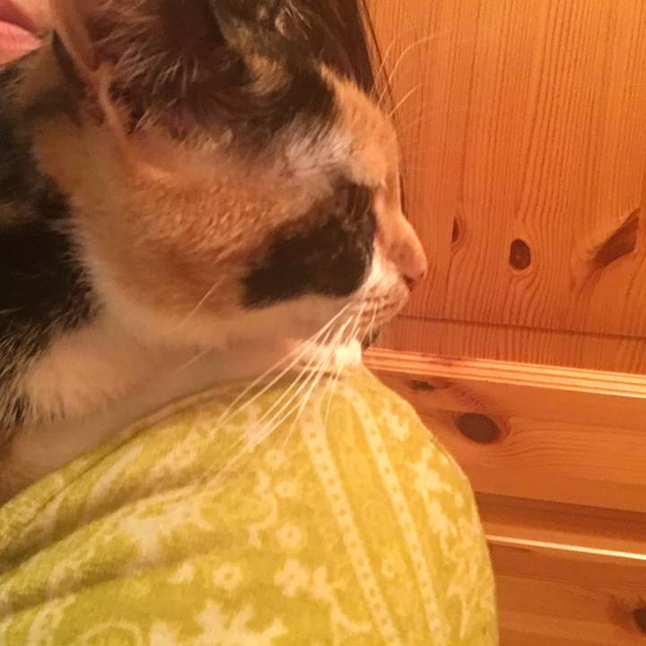 2fc74513 ca17 4a0a a86f 82c79fbbff87 1513693482246