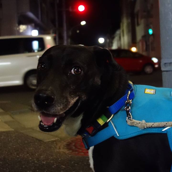 2fc77d98 d38b 498c b566 548b5a475a30 1680259781781