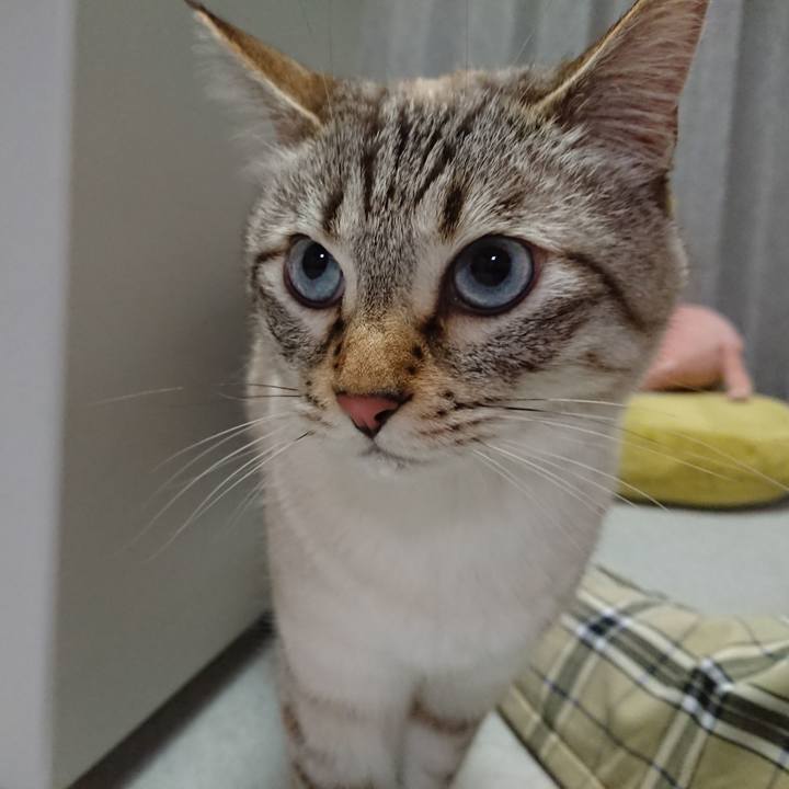 2fc78ac4 b371 446f 8c34 33bb9b527f6d 1589032672466