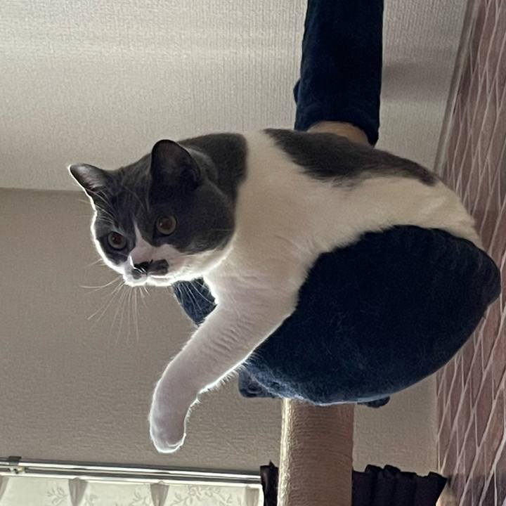 2fc78b80 0f70 4c7f 902f 76812136d3f6 1657012449833