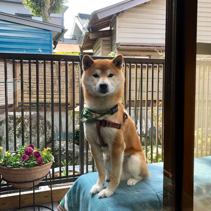 2fc7a76e 1498 42f5 9cea 3360ab5deac8 1554552247315