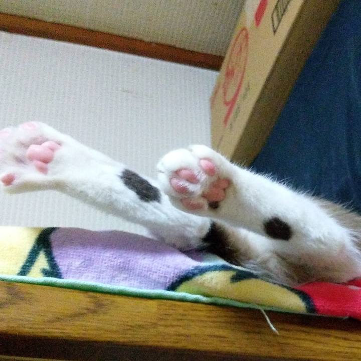 2fc7d9c2 ccc7 407c b5ed 206ef7795f0f 1550323988677