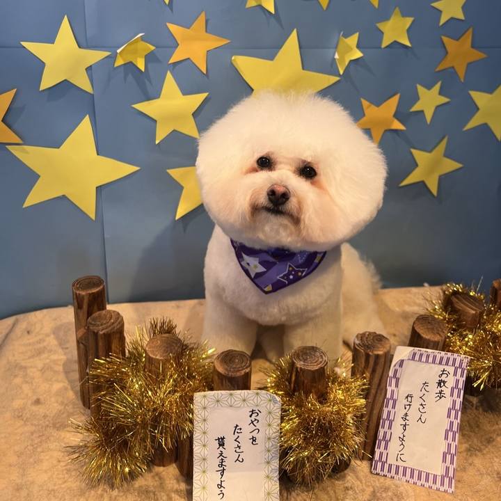 2fc7def1 9077 46d1 8497 9c999a5ec00e 1688704547896