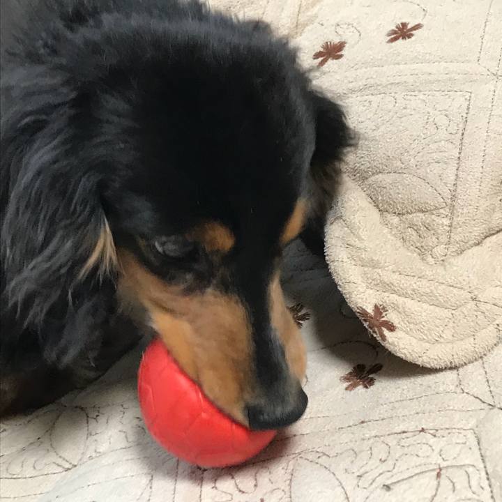 2fc8067e ba27 4220 be4f 9ca225d97155 1523480490078