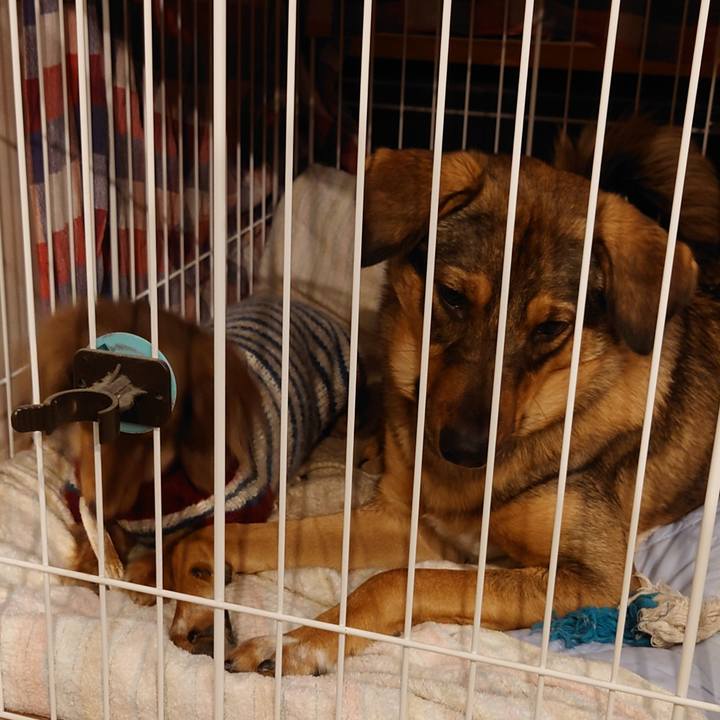 2fc80e34 2861 4078 9675 3ff45e323edd 1706273367878