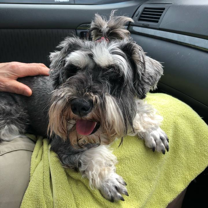 2fc814f0 9071 4168 81fa 0eb34dd036c4 1563020862376