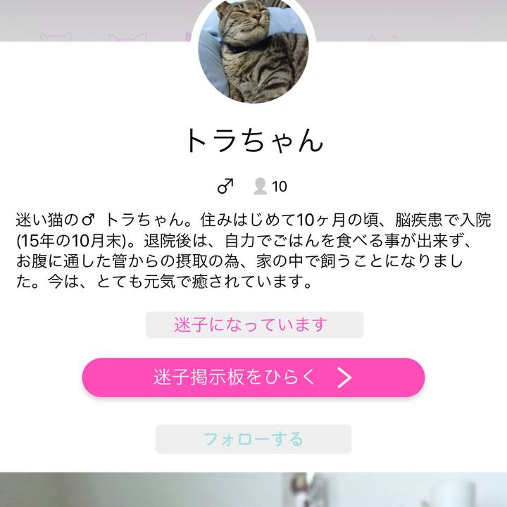 2fc831b4 c576 46ec 89b6 4b68dbe77af6 1513036834878