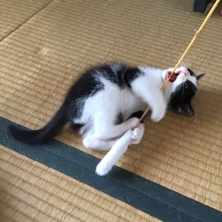 2fc83d14 bdc6 4daf 8d09 14ea4ee06a5b 1623459173987