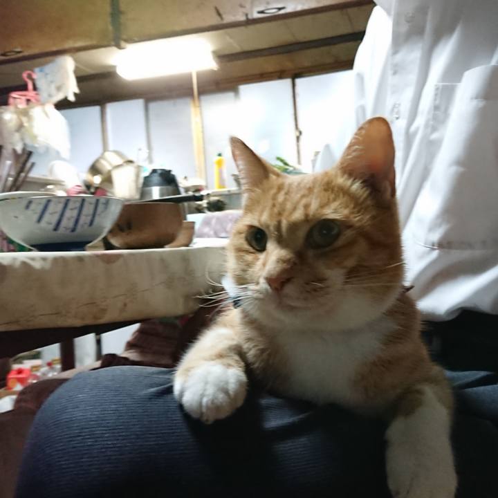 2fc8bbe5 0ea0 4e3c a11b fed1fd2fb569 1602192969242