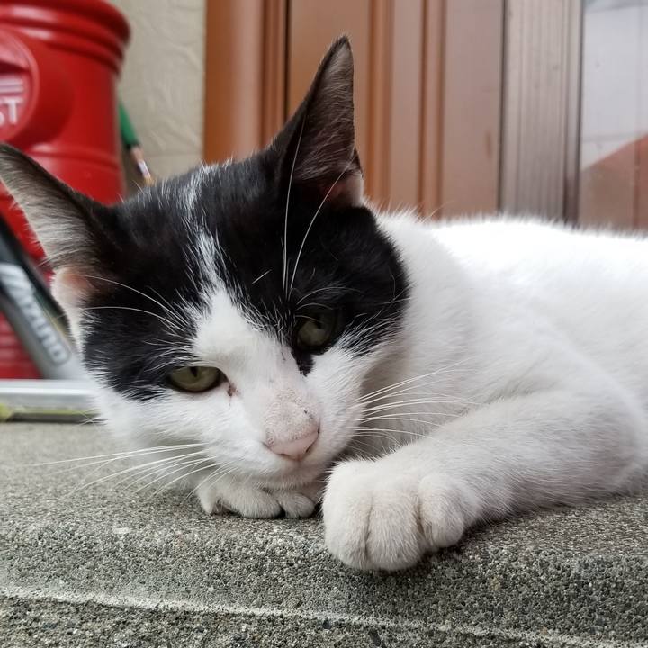 2fc8de06 3a7d 4066 a84d a67190af259e 1568637301237