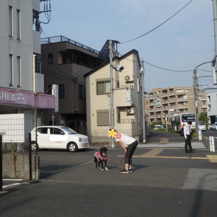 2fc90afe 3b31 42a6 9022 d4a9ea2fbb67 1689721665804