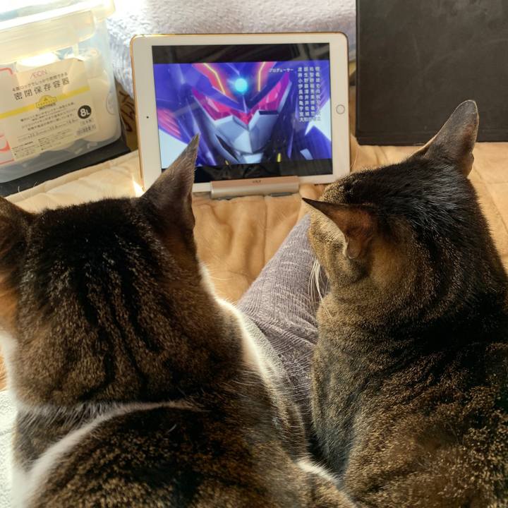 2fc916ee af55 4403 a626 a15d7c2f80b3 1545183322333