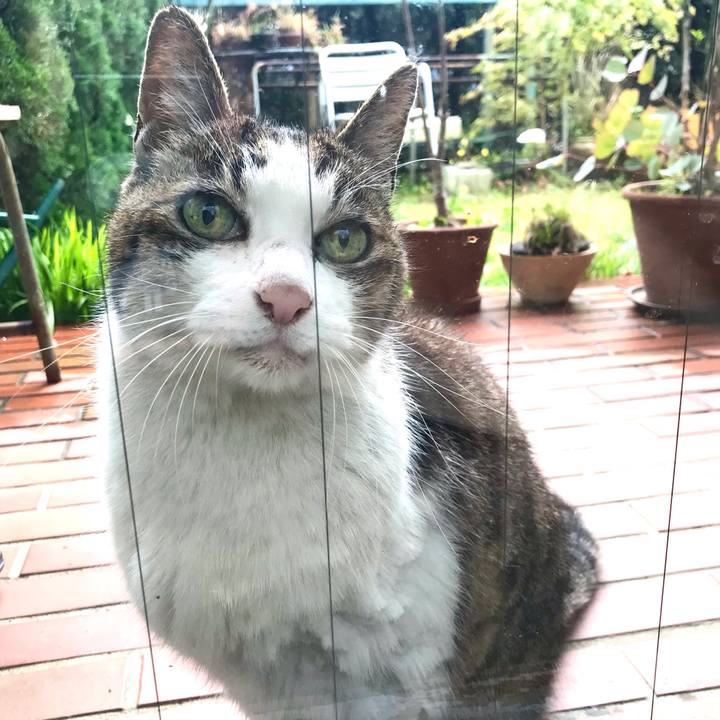 2fc93785 6cd8 461f b749 d58b668aad18 1616902718109