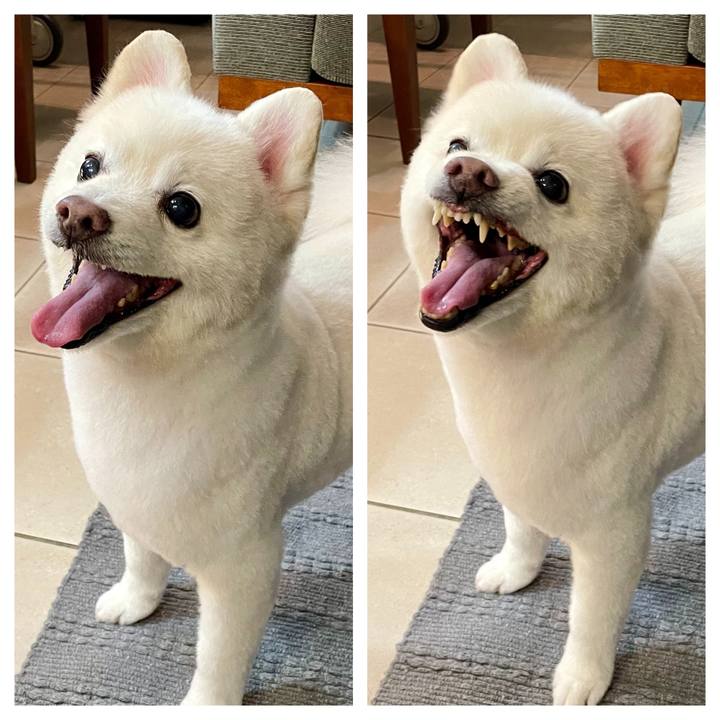 2fc94034 c211 454e aa50 2f5e394543a7 1759623147978