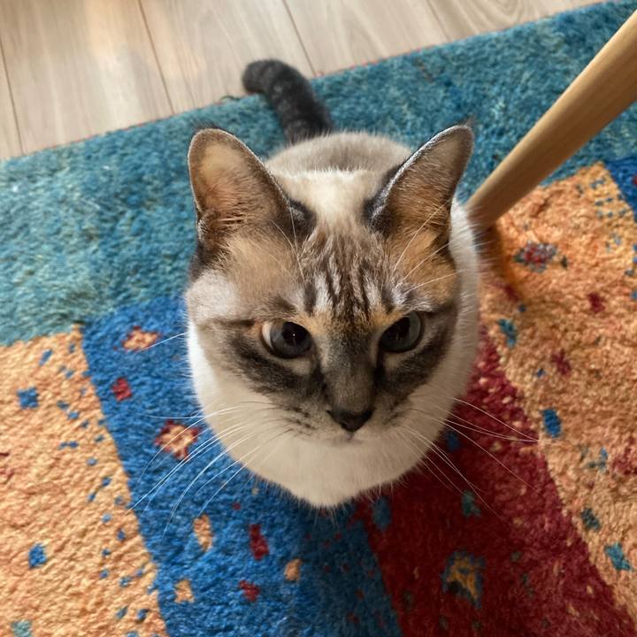 2fc988d7 f76e 4b6d b026 e1ec0f0dd4dd 1764207532153