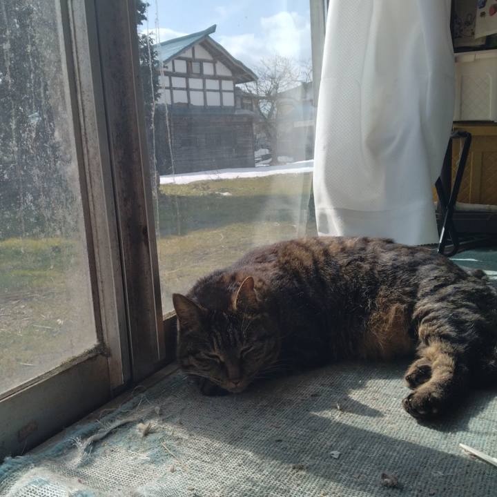 2fc9a31a 455c 4047 8441 57567f0b734f 1707975656787