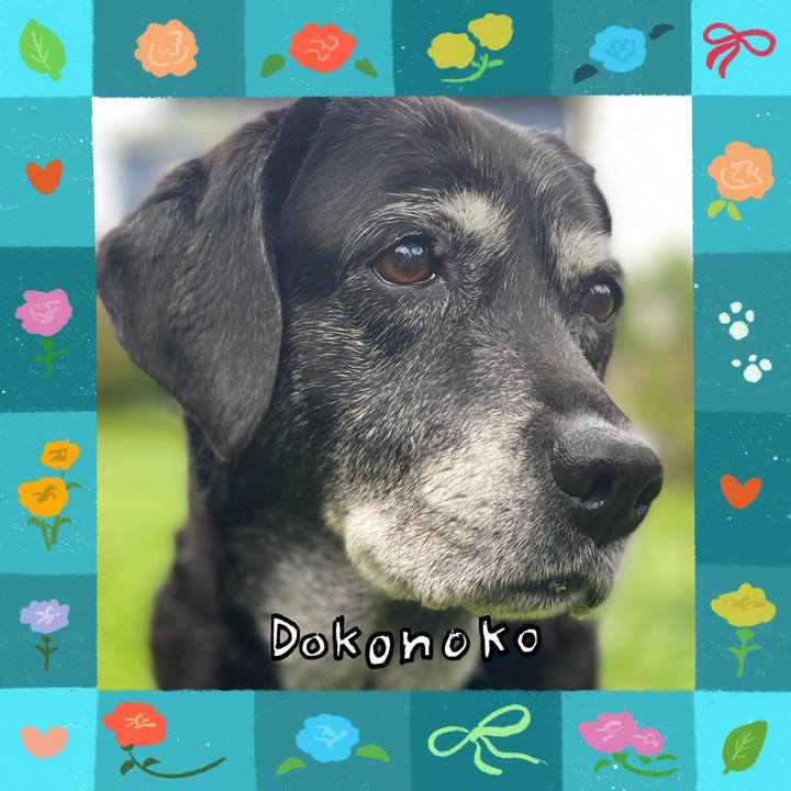 2fc9c64a 3ea5 4b3f 87b1 14828f546742 1715085882900