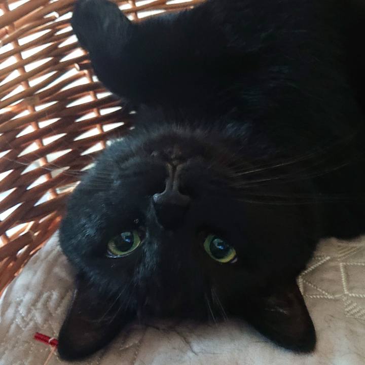 2fc9caf3 c551 42ca 99f6 260c65a359af 1627799415237