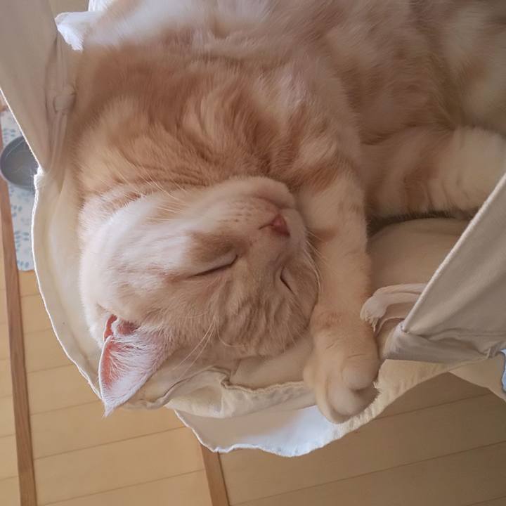 2fc9e8a3 62f6 44f2 a940 00463803d058 1576139475338