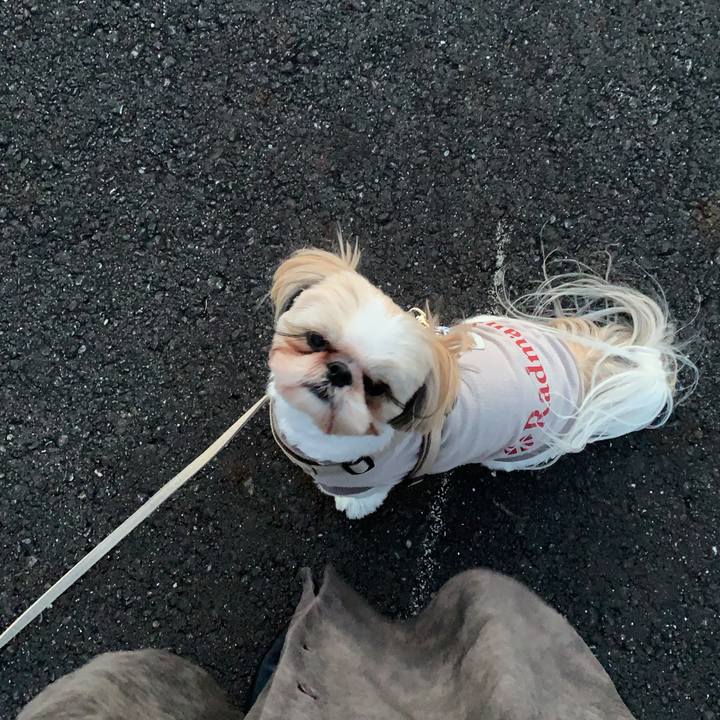 2fc9e9b3 ee88 4823 a0d0 cbb20a0fd7da 1618827321545