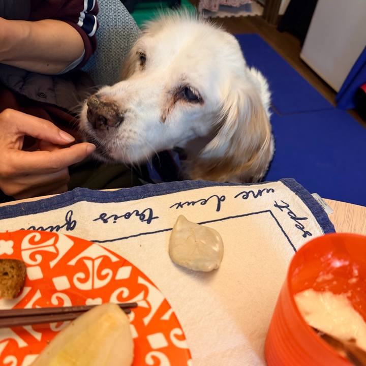 2fc9f165 33de 4f45 bc65 8e3d06dbc066 1764720787162