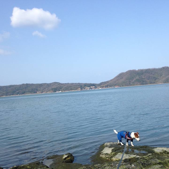 2fca1342 d490 422b 938e 0e3f4332cfe9 1519115212651