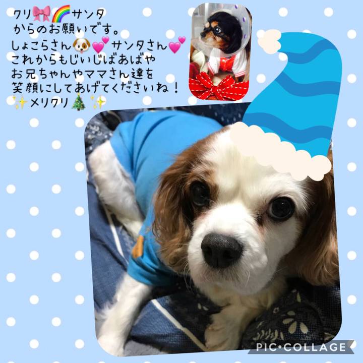 2fca4452 b672 4b66 80c3 03c016cf8c90 1545639010268