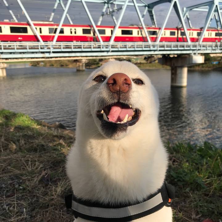 2fca4d17 814c 4720 bdc5 2c0c002adaf8 1542149406708