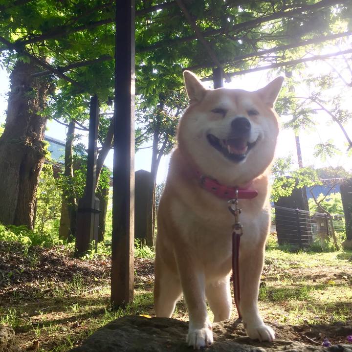 2fca630b 75ed 4014 abc2 f179227f594a 1524311092568