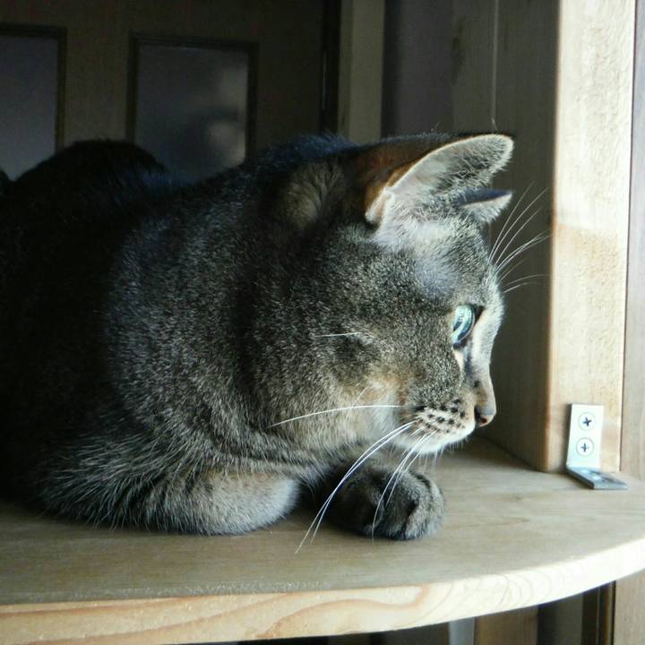 2fca65d0 d100 420b b8d9 48dd11fa34f2 1569200329579