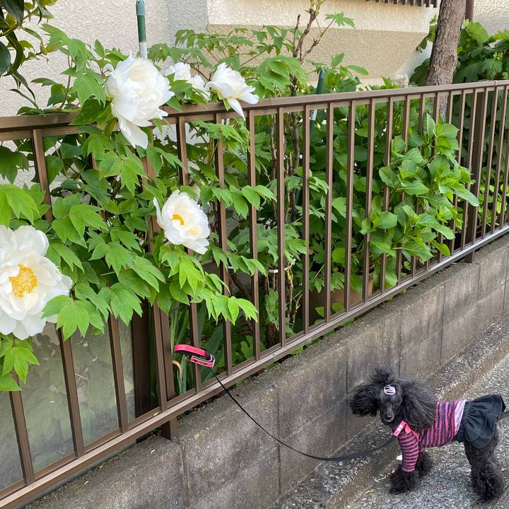 2fca74e5 32f6 4247 bb01 d0920f312fc6 1681742939791