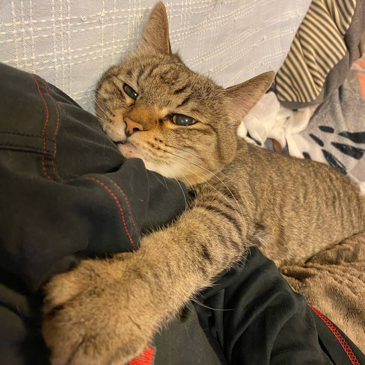 2fca84a0 34b5 4124 8f4f cb6dd999c940 1746572239636