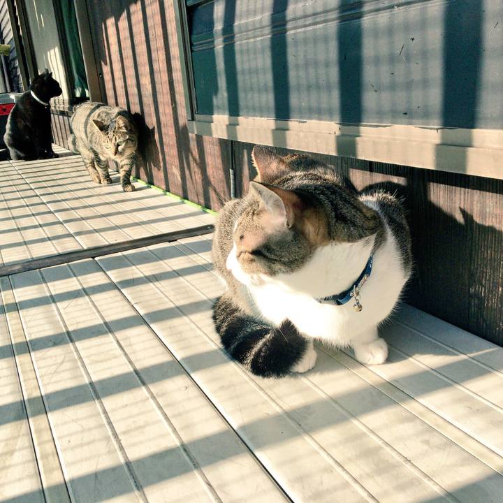 2fcabe25 c0b9 4a32 bdfe 95f5efbd6fda 1513381642123