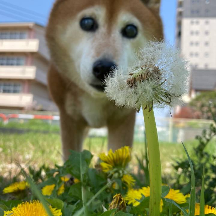 2fcb06b4 182a 462a bbfe 73fd7216d098 1680316136332