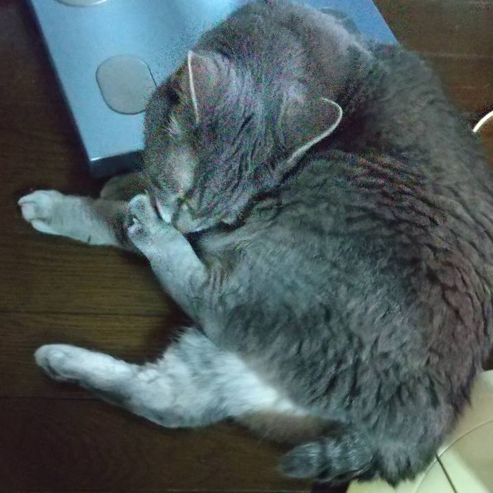 2fcb13a5 691a 4f91 ab70 716988bc15a8 1626741096928