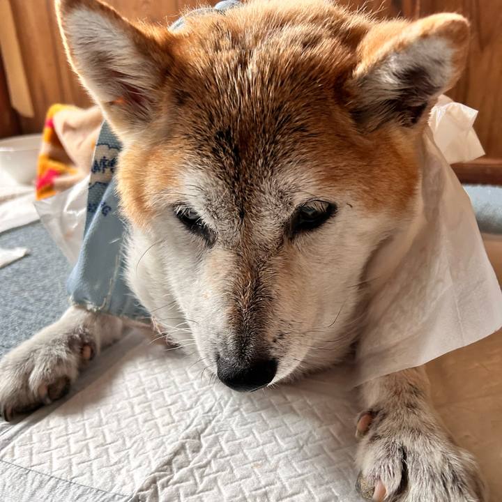 2fcb21e6 5d19 490e 9080 c1f937851d8d 1762575303082