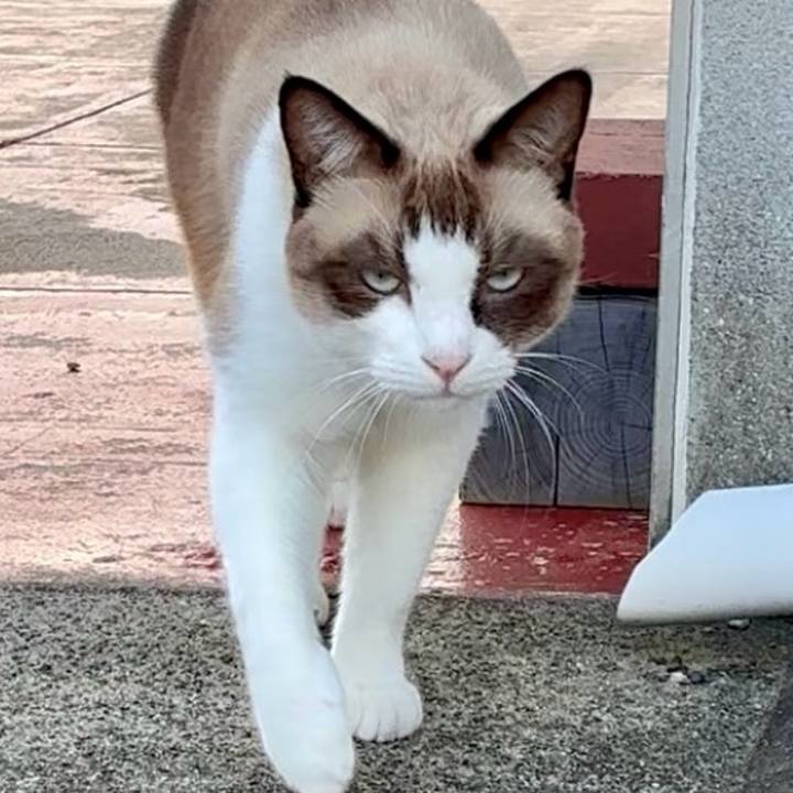 2fcb302d c423 4f78 8d81 3bcf3cbf2c0f 1760948404721