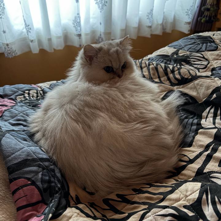 2fcb363a 94d3 4c59 9ba9 aaa88efc493d 1763944805196