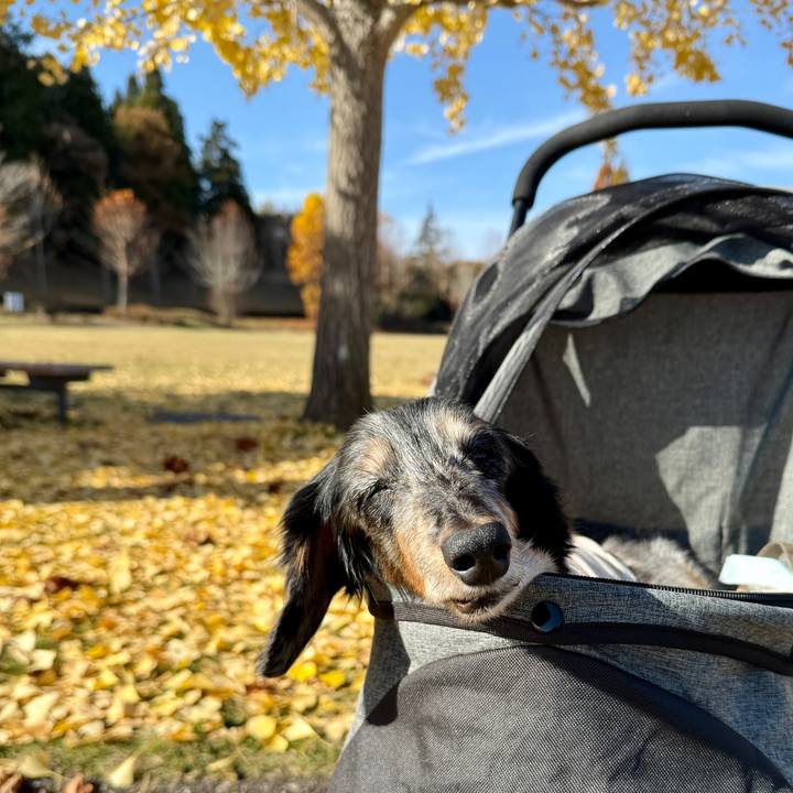 2fcb674a 344b 4eaa a14f 313f14f6bbb6 1763990800244