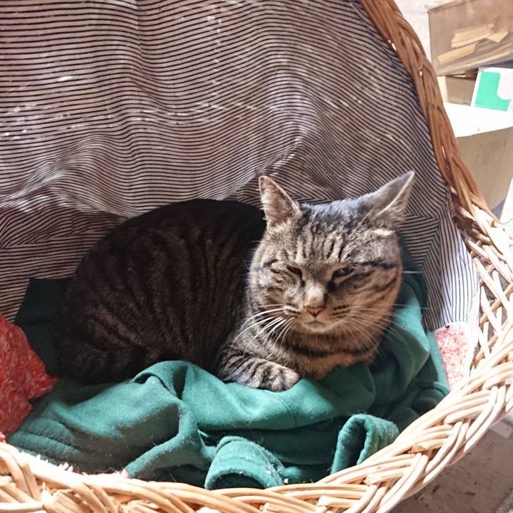 2fcbb683 29be 4f99 b251 8821b09e0784 1641557435646