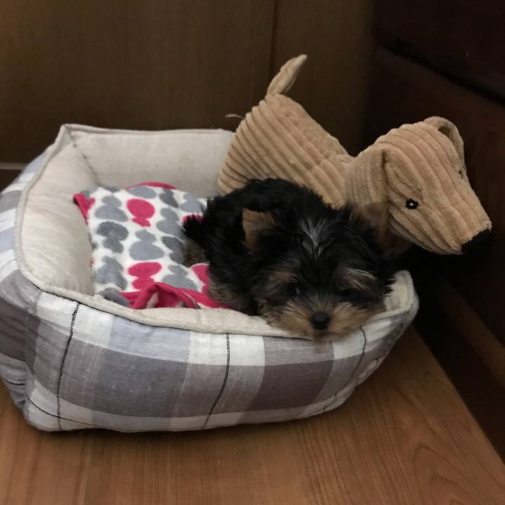 2fcbc881 d50c 4e03 b770 1b618d4d453f 1614934324911