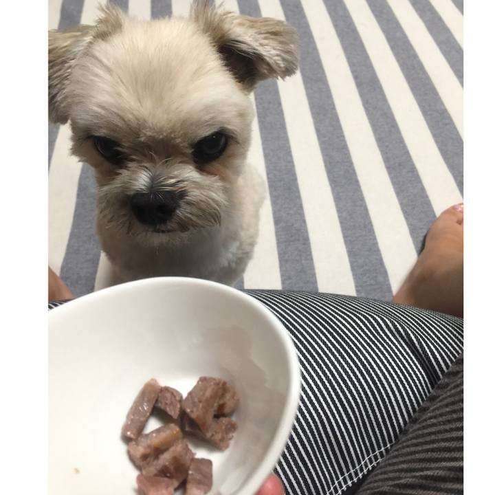 2fcbf26d 2c66 49ce 94d5 106fb8871e15 1533292613306