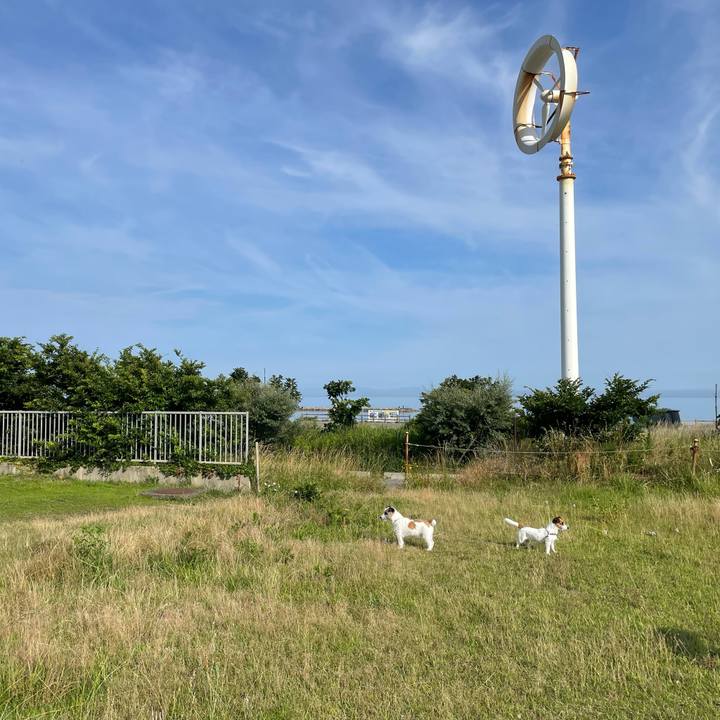 2fcc2fce 96d0 4bf1 8d9e 40848129e41a 1656806996416